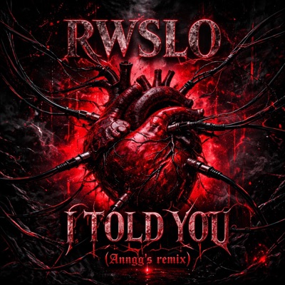 I TOLD YOU (Anngg's Remix) - Single
