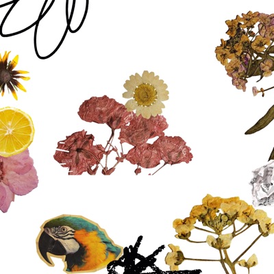 DJ.Patron - Playa y Arena