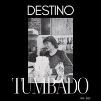 Destino Tumbado - Single - Nyzu