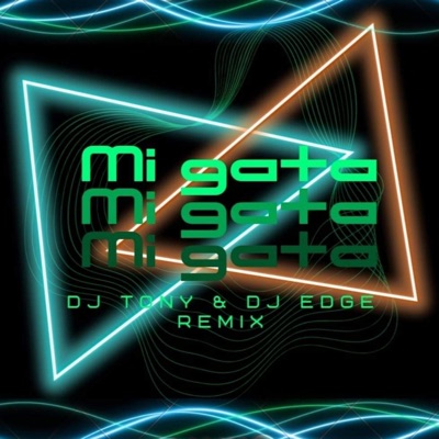 Mi gata (feat. DJ TONY) - Single