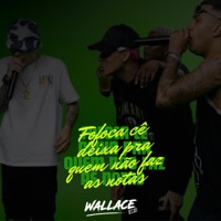 FOFOCA CÊ DEIXA PRA QUEM NÃO FAZ AS NOTAS - Single - Wallace DJ