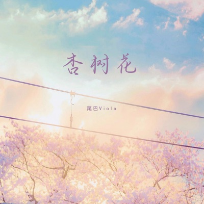 杏树花 - Single