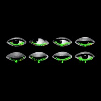 Все палят - Single - Fusion a.k.a EazyWin