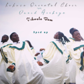 Tshwala Bam (Sped Up) - Kabusa Oriental Choir &amp; David Acekeyz Cover Art