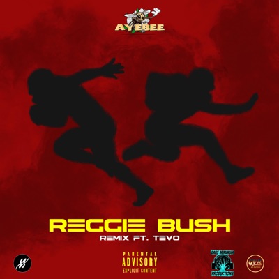 Reggie Bush (feat. Tevo Jordan) [REMIX] - Single