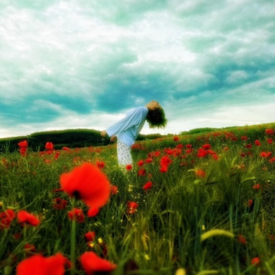 Freier Fall - Single