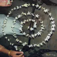 The Dogs — Fiddlehead