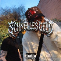 SCHNELLES GELD (feat. PL) - Single - Mias