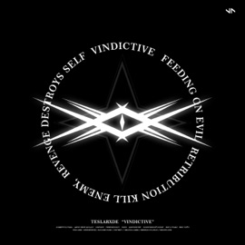 БОГА РАДИ (feat. dmtboy) TESLARXDE