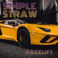 Facelift - Single - Simple Straw