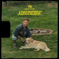 KERNSANIERUNG - Single - moris