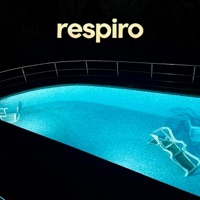 RESPIRO (feat. Laura Galdi & Radovan Brtko) - Single - Pegasvs