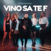 Vino să te f artwork