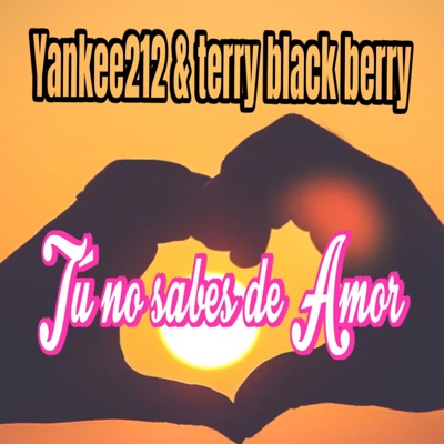Tu No Sabes De Amor - Single
