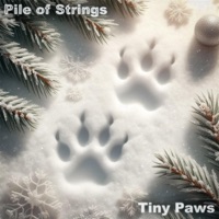 Tiny Paws (feat. Sensory Meditation) - Single - Pile of Strings