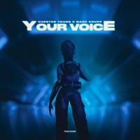 Your Voice - Single - Chester Young & Mark Krupp