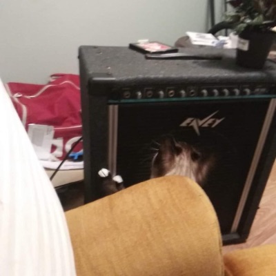 Gulf Wave Rock - Single