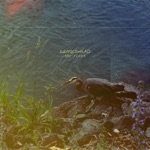 subtractiveLAD - Promises for the Future