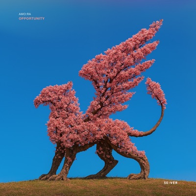 Opportunity - Single