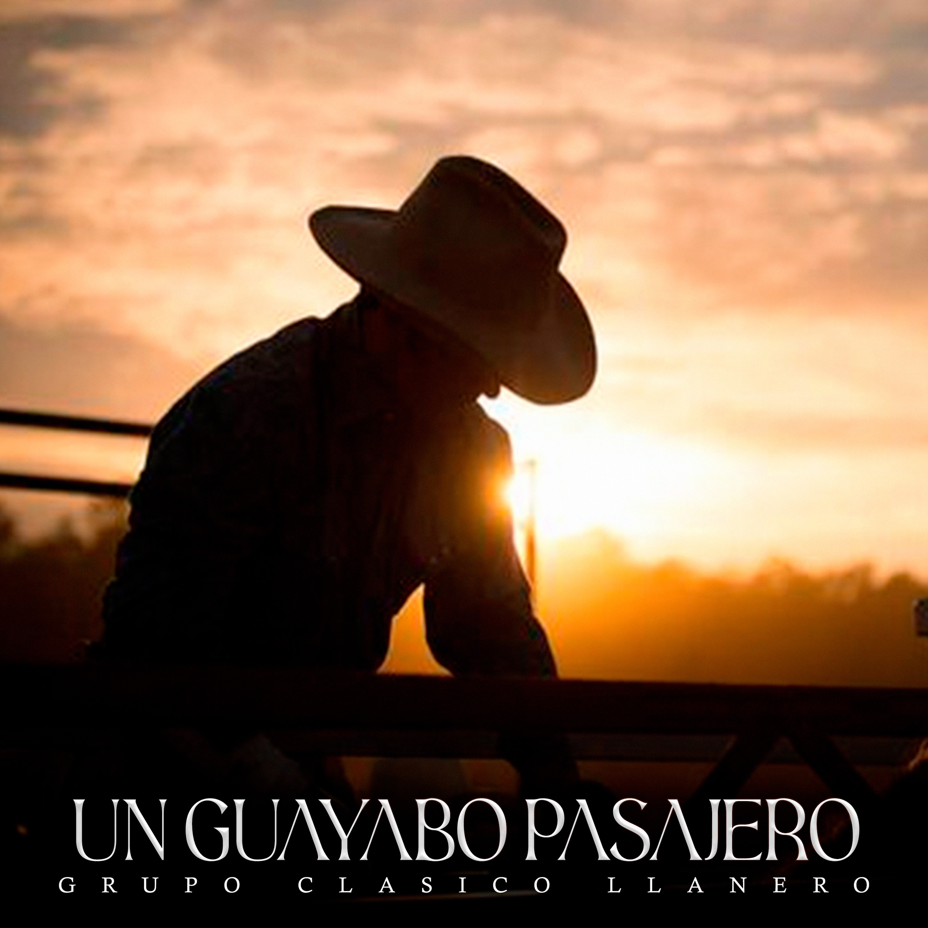 Un Guayabo Pasajero (Instrumental) - Single