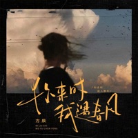 你来时我遇春风(冷冷的街冷冷的风) - Single - 方辰