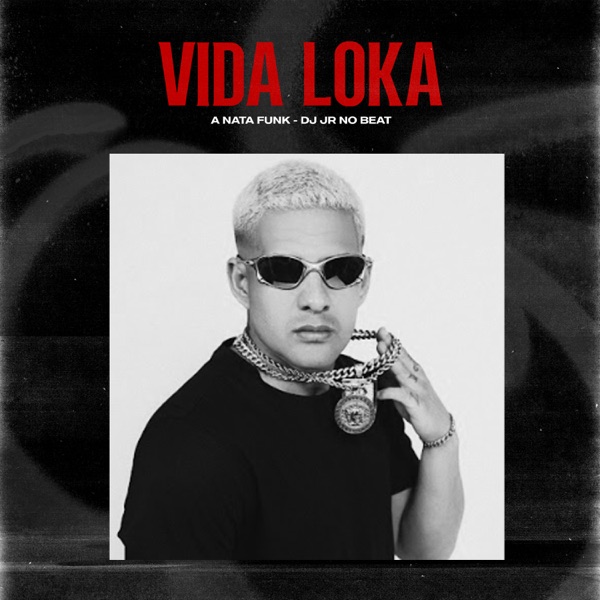 Vida Loka (feat. MC Rodolfinho)