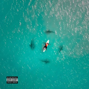 Hong Back (feat. Shaka Zulu, Sheitan Headwhite & Toopitt)