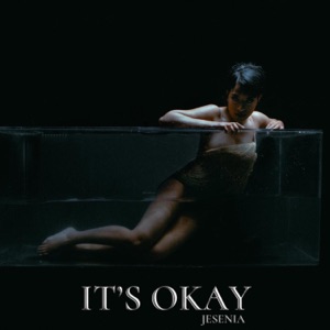 It's Okay - Single