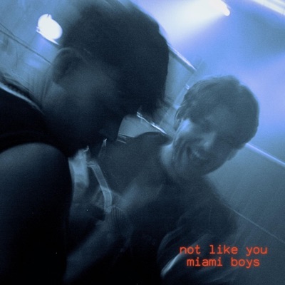 Not Like You - Single