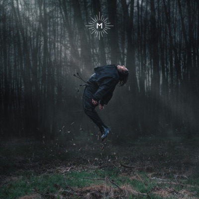Higher - Single