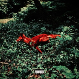 cold weather (feat. Lost & Pro Made This) Yotan & Mr.Foxy