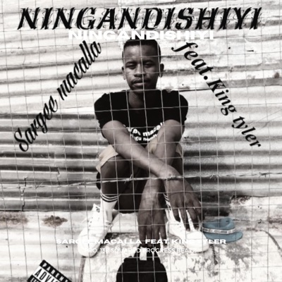 Ningandishiyi (feat. King tyler) - Single