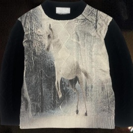 hest på mig legobygger123