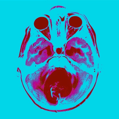 Root Beer & Cotton Candy - Single