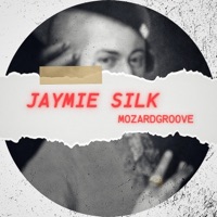 Mozardgroove - Single - Jaymie Silk