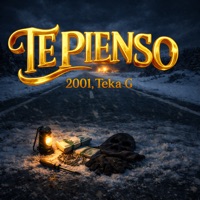 Te Pienso - Single - 2001 & Teka G