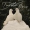 Turtle Dove - islands Audiolab lyrics