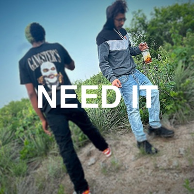 NEED IT (feat. FTB BABY G & FTB TREY 3) - Single