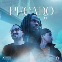 Pecado #4 - Single - Salah, Froid & Prodigio