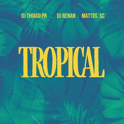 Mega Tropical (feat. MATTOS SC & DJ Thiago PR) - Single