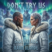 Don't Try Us song art