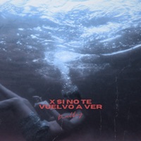 X Si No Te Vuelvo a Ver - EP - Dialboy