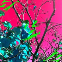 Too Many Faces (feat. Hydro) - Single - Mixed Berries