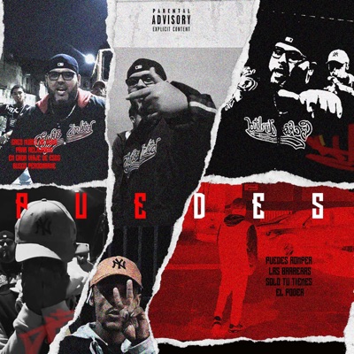 Puedes - Single
