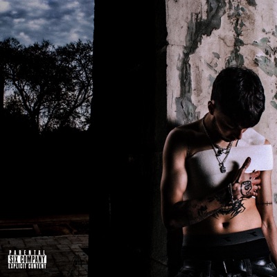 Ocasione (feat. BlassToxx) - Single