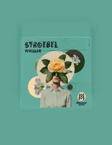 Stroebelを聴いたり、ミュージックビデオを鑑賞したり、経歴やツアー日程などを確認したりしましょう！