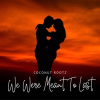 We Were Meant To Last - Single