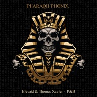 P&B - Single - Elevatd & Thomas Xavier