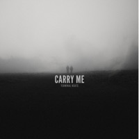 carryme.mp3 - Single - Terminal Beats
