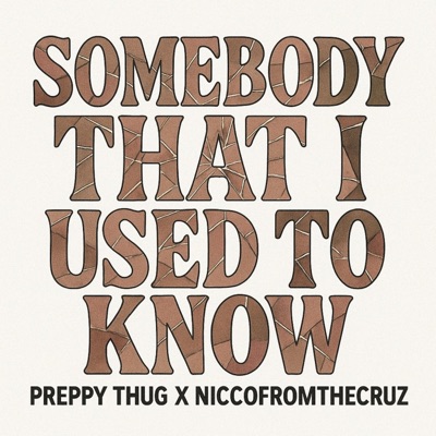 Somebody That I Used To Know (feat. Niccofromthecruz) - Single